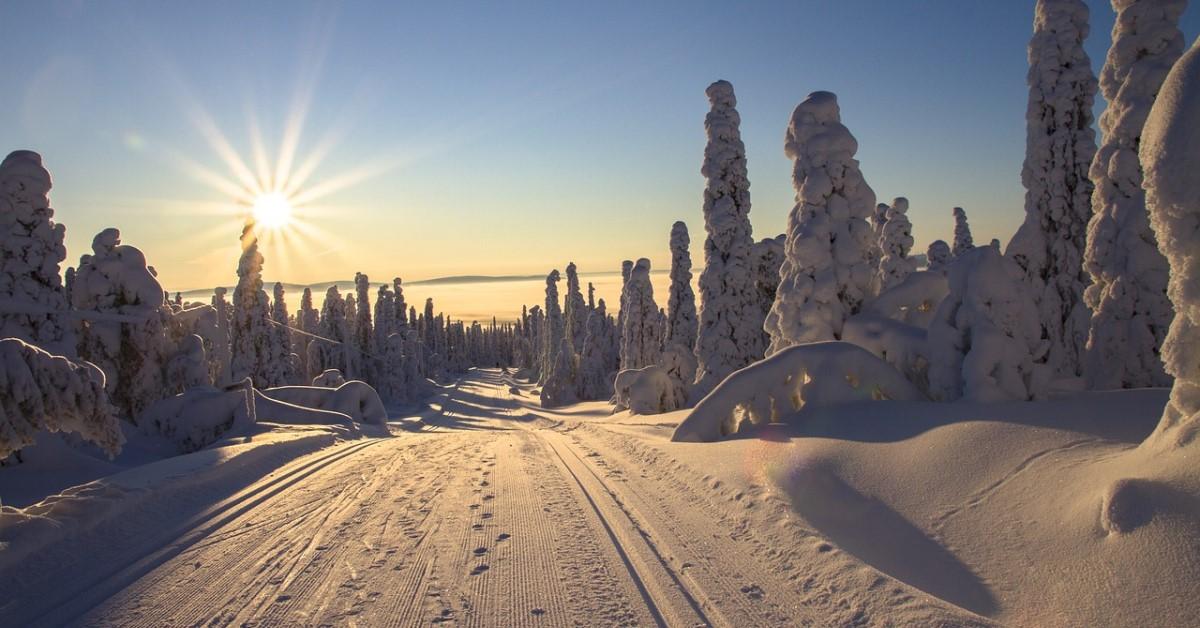 Sol som håller på att gå ner i vintrigt snölandskap